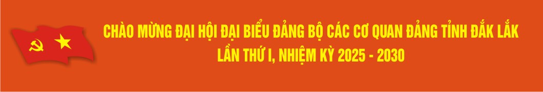 CHAO MUNG ĐAI HOI DANG BO TINH LAN THU1